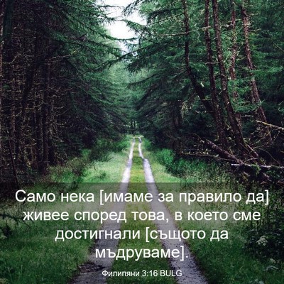 Picture 03 - Филипяни 3:16 BULG - Само нека [имаме за правило - Bible Verse Picture
