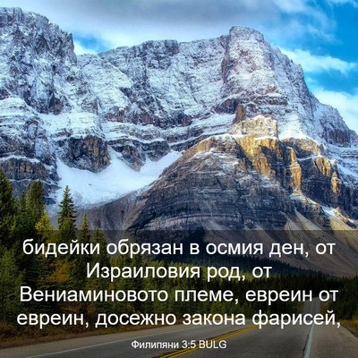Picture 03 - Филипяни 3:5 BULG - бидейки обрязан в осмия - Bible Verse Picture