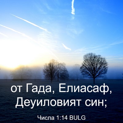 Picture 03 - Числа 1:14 BULG - от Гада, Елиасаф, - Bible Verse Picture
