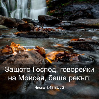 Picture 03 - Числа 1:48 BULG - Защото Господ, говорейки - Bible Verse Picture