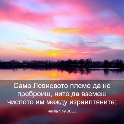 Picture 03 - Числа 1:49 BULG - Само Левиевото племе да не - Bible Verse Picture