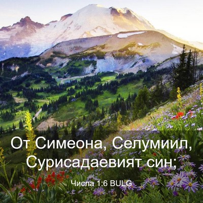 Picture 03 - Числа 1:6 BULG - От Симеона, Селумиил, - Bible Verse Picture