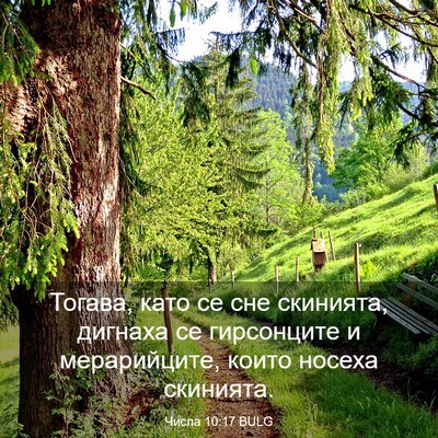 Picture 03 - Числа 10:17 BULG - Тогава, като се сне - Bible Verse Picture