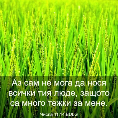 Picture 03 - Числа 11:14 BULG - Аз сам не мога да нося - Bible Verse Picture