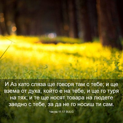 Picture 03 - Числа 11:17 BULG - И Аз като сляза ще говоря - Bible Verse Picture
