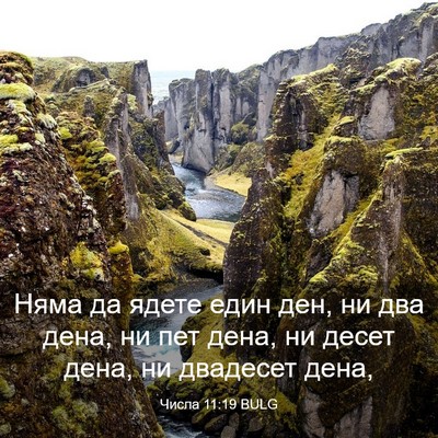 Picture 03 - Числа 11:19 BULG - Няма да ядете един ден, ни - Bible Verse Picture