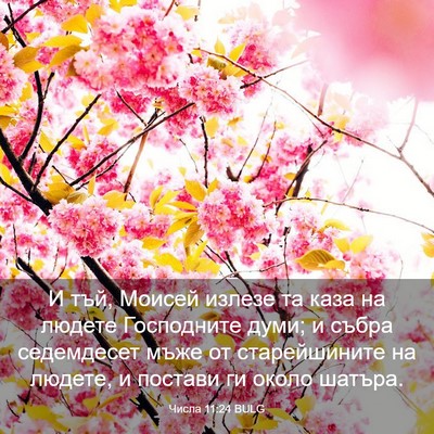 Picture 03 - Числа 11:24 BULG - И тъй, Моисей излезе та - Bible Verse Picture