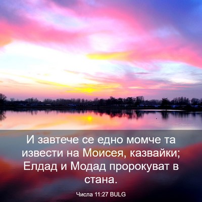 Picture 03 - Числа 11:27 BULG - И завтече се едно момче та - Bible Verse Picture