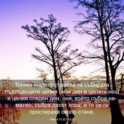 Picture 03 - Числа 11:32 BULG - Тогава людете станаха та - Bible Verse Picture