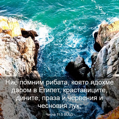 Picture 03 - Числа 11:5 BULG - Ние помним рибата, която - Bible Verse Picture