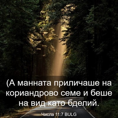 Picture 03 - Числа 11:7 BULG - (А манната приличаше на - Bible Verse Picture