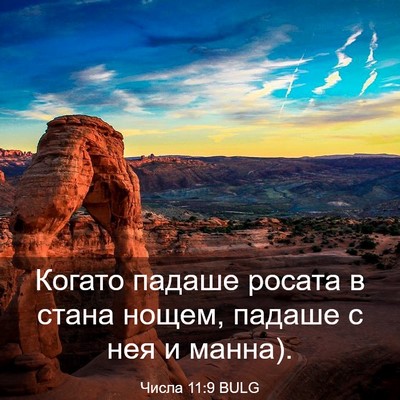 Picture 03 - Числа 11:9 BULG - Когато падаше росата в - Bible Verse Picture