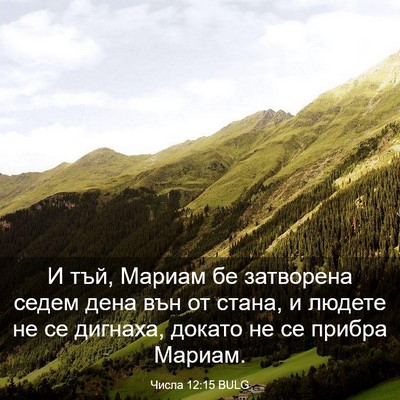 Picture 03 - Числа 12:15 BULG - И тъй, Мариам бе затворена - Bible Verse Picture