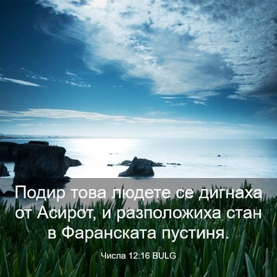 Picture 03 - Числа 12:16 BULG - Подир това людете се - Bible Verse Picture