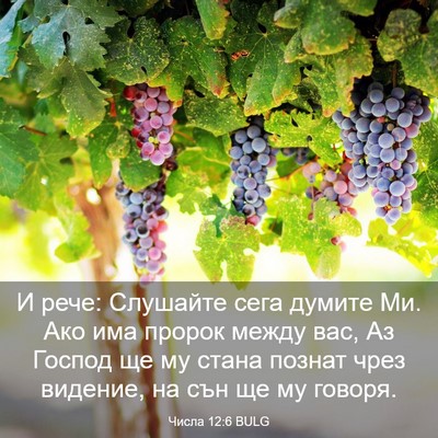 Picture 03 - Числа 12:6 BULG - И рече: Слушайте сега - Bible Verse Picture