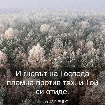 Picture 03 - Числа 12:9 BULG - И гневът на Господа пламна - Bible Verse Picture