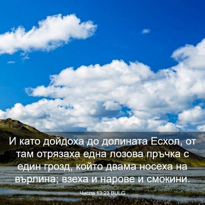 Picture 03 - Числа 13:23 BULG - И като дойдоха до долината - Bible Verse Picture