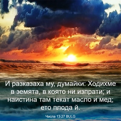 Picture 03 - Числа 13:27 BULG - И разказаха му, думайки: - Bible Verse Picture