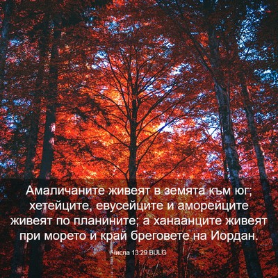 Picture 03 - Числа 13:29 BULG - Амаличаните живеят в - Bible Verse Picture