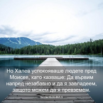 Picture 03 - Числа 13:30 BULG - Но Халев успокояваше - Bible Verse Picture