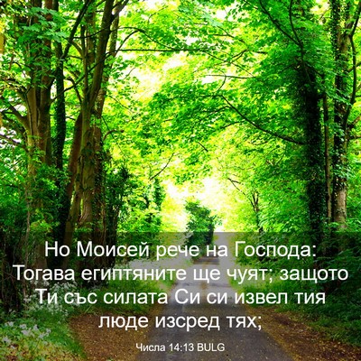 Picture 03 - Числа 14:13 BULG - Но Моисей рече на Господа: - Bible Verse Picture