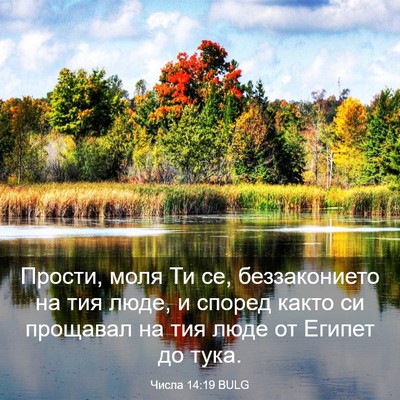 Picture 03 - Числа 14:19 BULG - Прости, моля Ти се, - Bible Verse Picture