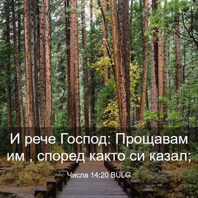 Picture 03 - Числа 14:20 BULG - И рече Господ: Прощавам им , - Bible Verse Picture