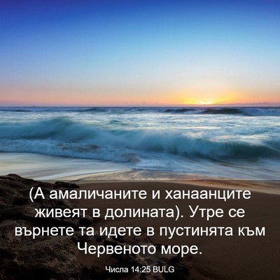 Picture 03 - Числа 14:25 BULG - (А амаличаните и - Bible Verse Picture