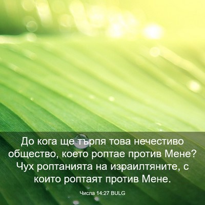 Picture 03 - Числа 14:27 BULG - До кога ще търпя това - Bible Verse Picture