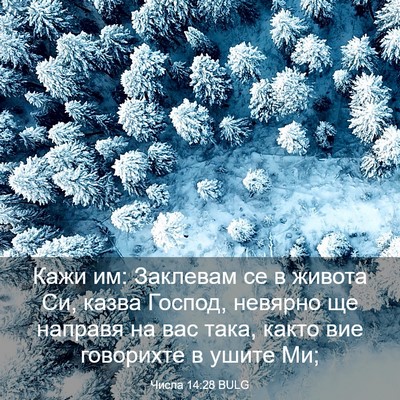 Picture 03 - Числа 14:28 BULG - Кажи им: Заклевам се в - Bible Verse Picture