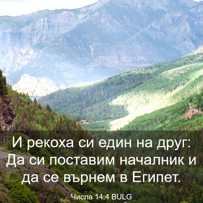 Picture 03 - Числа 14:4 BULG - И рекоха си един на друг: Да - Bible Verse Picture