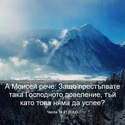 Picture 03 - Числа 14:41 BULG - А Моисей рече: Защо - Bible Verse Picture