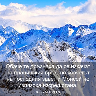Picture 03 - Числа 14:44 BULG - Обаче те дръзнаха да се - Bible Verse Picture