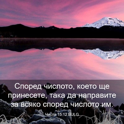 Picture 03 - Числа 15:12 BULG - Според числото, което ще - Bible Verse Picture