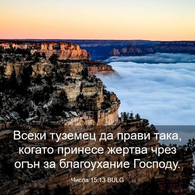Picture 03 - Числа 15:13 BULG - Всеки туземец да прави - Bible Verse Picture