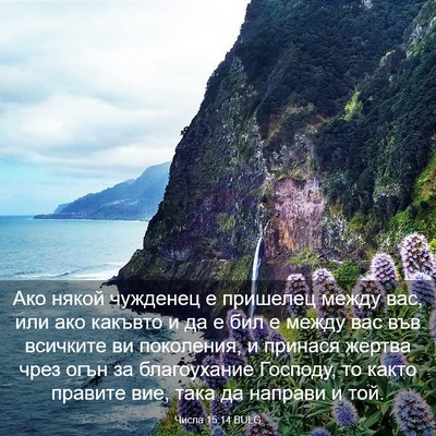 Picture 03 - Числа 15:14 BULG - Ако някой чужденец е - Bible Verse Picture