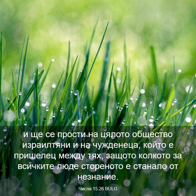 Picture 03 - Числа 15:26 BULG - и ще се прости на цялото - Bible Verse Picture