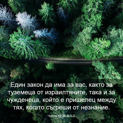 Picture 03 - Числа 15:29 BULG - Един закон да има за вас, - Bible Verse Picture