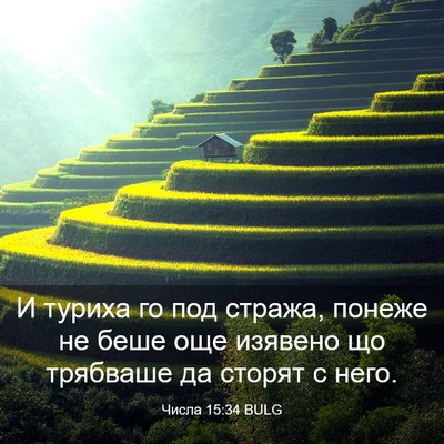 Picture 03 - Числа 15:34 BULG - И туриха го под стража, - Bible Verse Picture