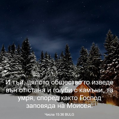 Picture 03 - Числа 15:36 BULG - И тъй, цялото общество го - Bible Verse Picture