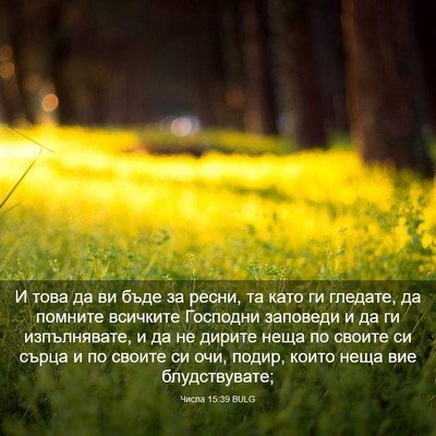 Picture 03 - Числа 15:39 BULG - И това да ви бъде за ресни, - Bible Verse Picture