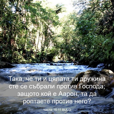 Picture 03 - Числа 16:11 BULG - Така, че ти и цялата ти - Bible Verse Picture
