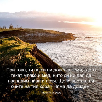 Picture 03 - Числа 16:14 BULG - При това, ти не си ни довел - Bible Verse Picture