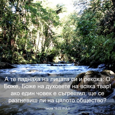Picture 03 - Числа 16:22 BULG - А те паднаха на лицата си и - Bible Verse Picture
