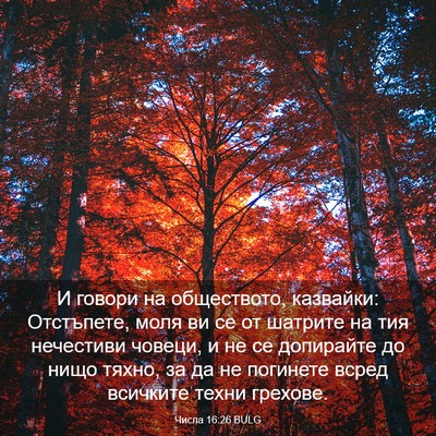Picture 03 - Числа 16:26 BULG - И говори на обществото, - Bible Verse Picture