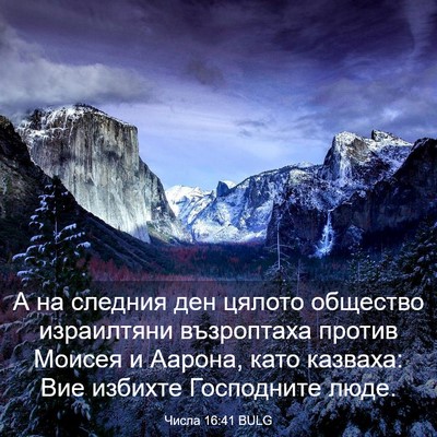 Picture 03 - Числа 16:41 BULG - А на следния ден цялото - Bible Verse Picture