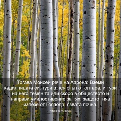 Picture 03 - Числа 16:46 BULG - Тогава Моисей рече на - Bible Verse Picture