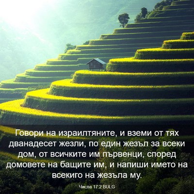 Picture 03 - Числа 17:2 BULG - Говори на израилтяните, и - Bible Verse Picture