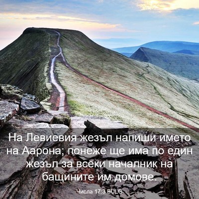 Picture 03 - Числа 17:3 BULG - На Левиевия жезъл напиши - Bible Verse Picture