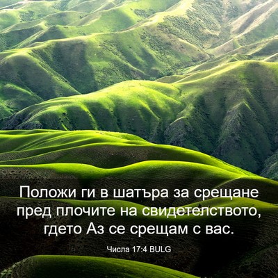 Picture 03 - Числа 17:4 BULG - Положи ги в шатъра за - Bible Verse Picture